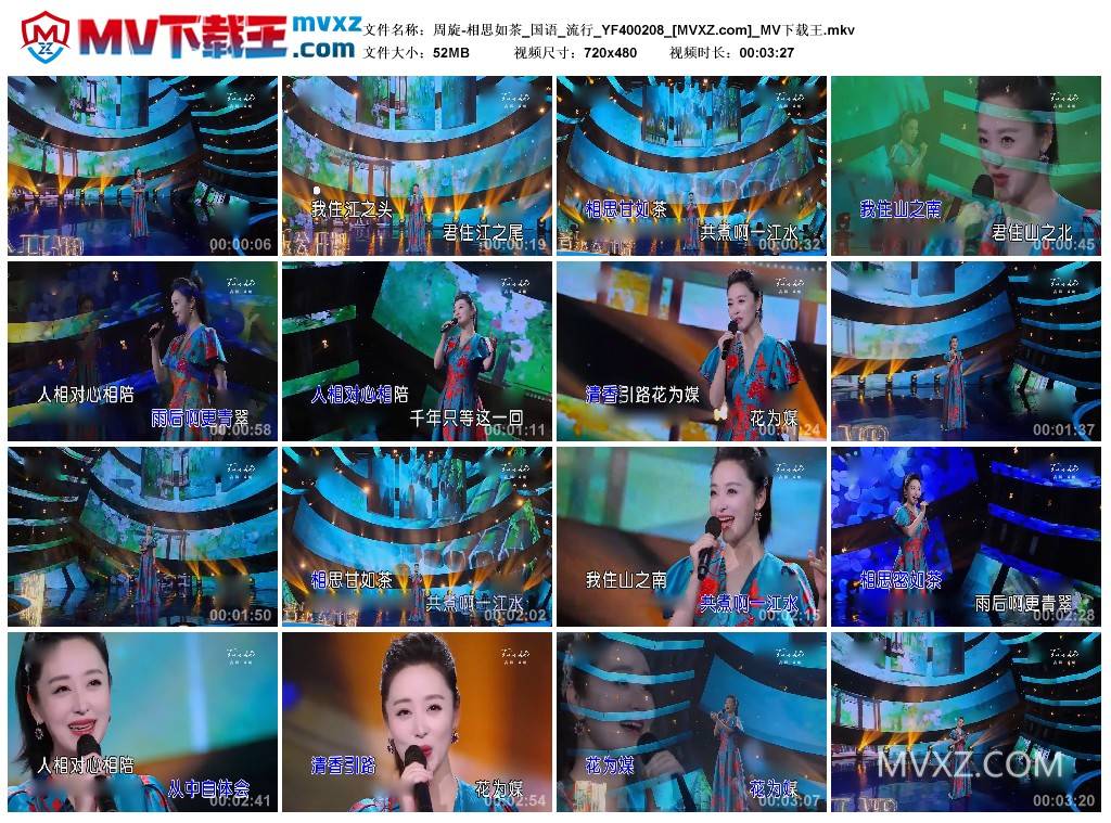 周旋-相思如茶_国语_流行_YF400208